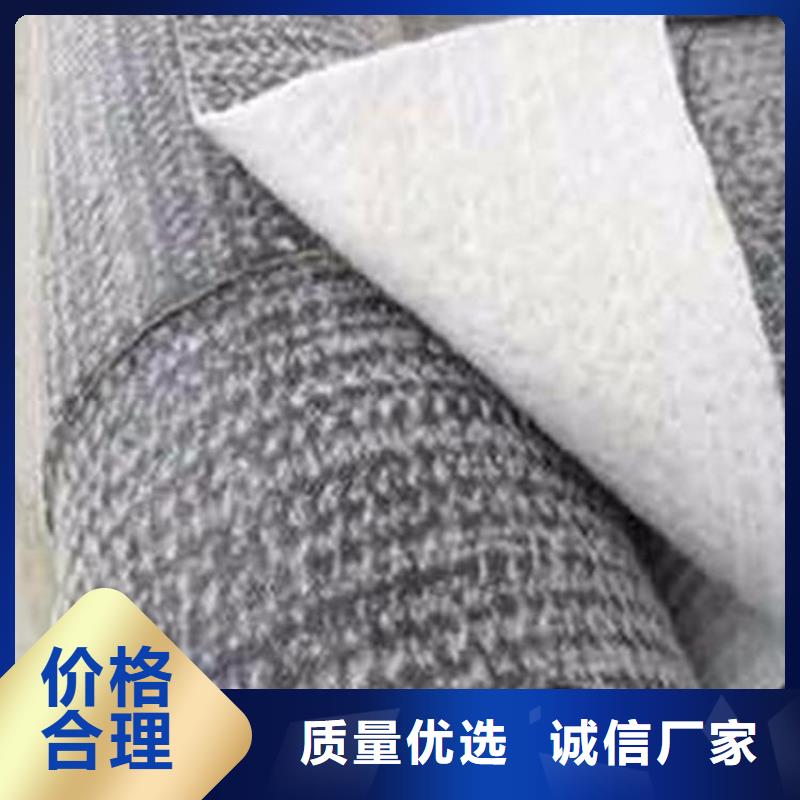膨润土防水毯土工席拥有核心技术优势