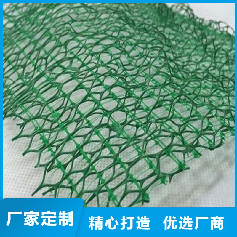 三维植被网,双向土工格栅产地厂家直销