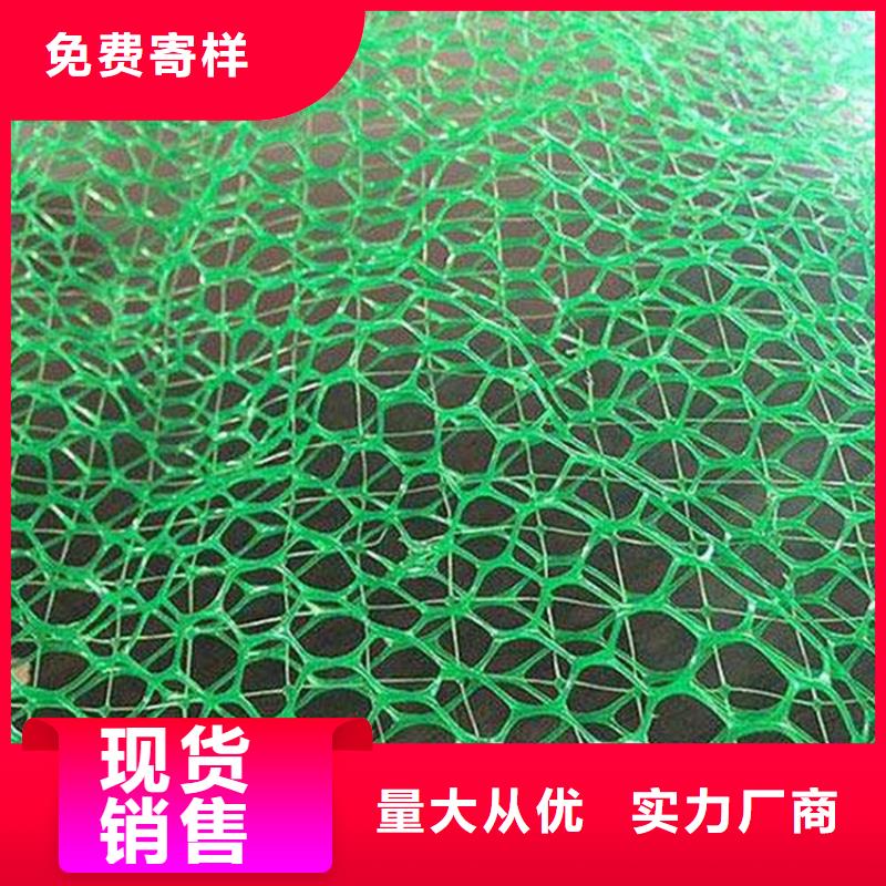 三维植被网,双向土工格栅产地厂家直销