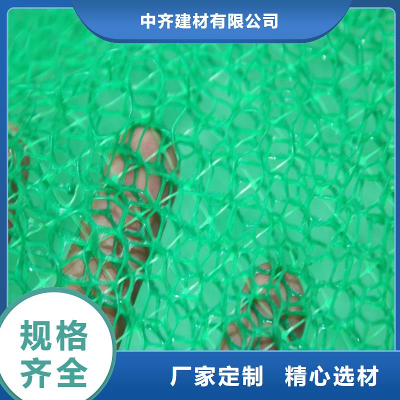三维植被网,双向土工格栅产地厂家直销