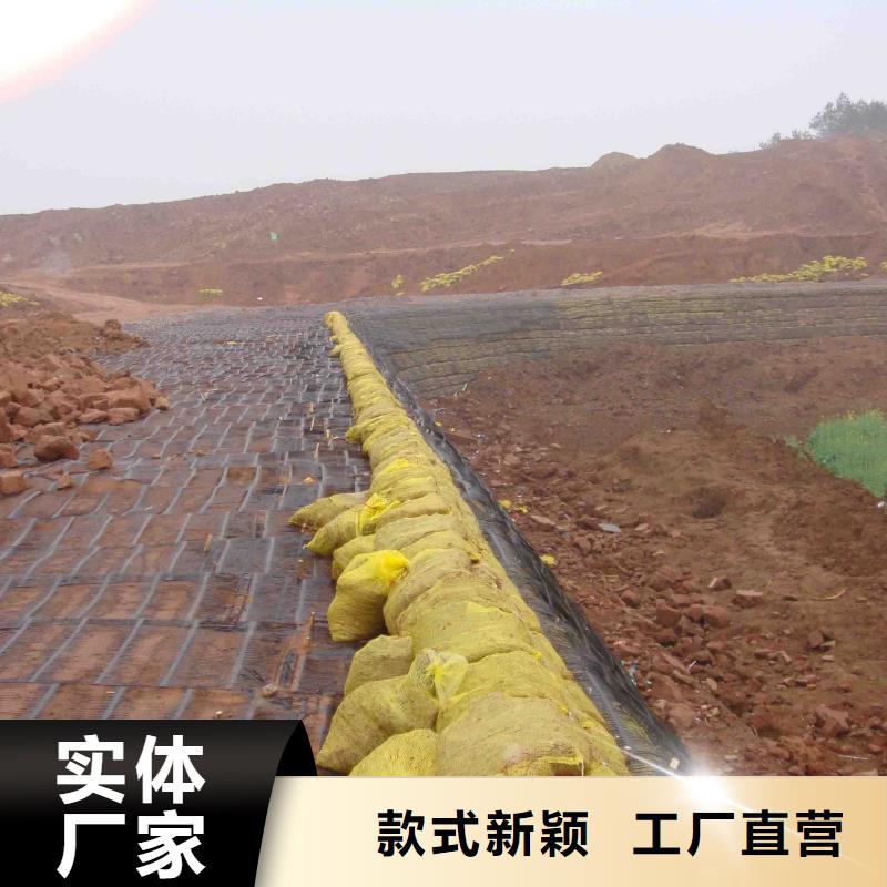 塑料格栅质量可靠电话