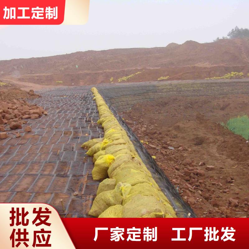 单向土工格栅生产基地电话