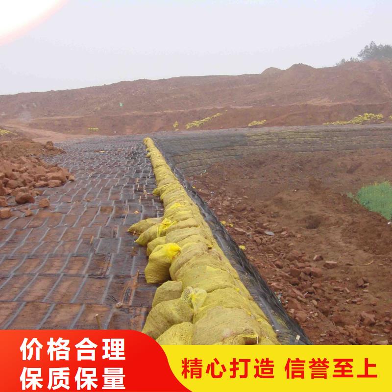 三维土工格栅正规厂家电话