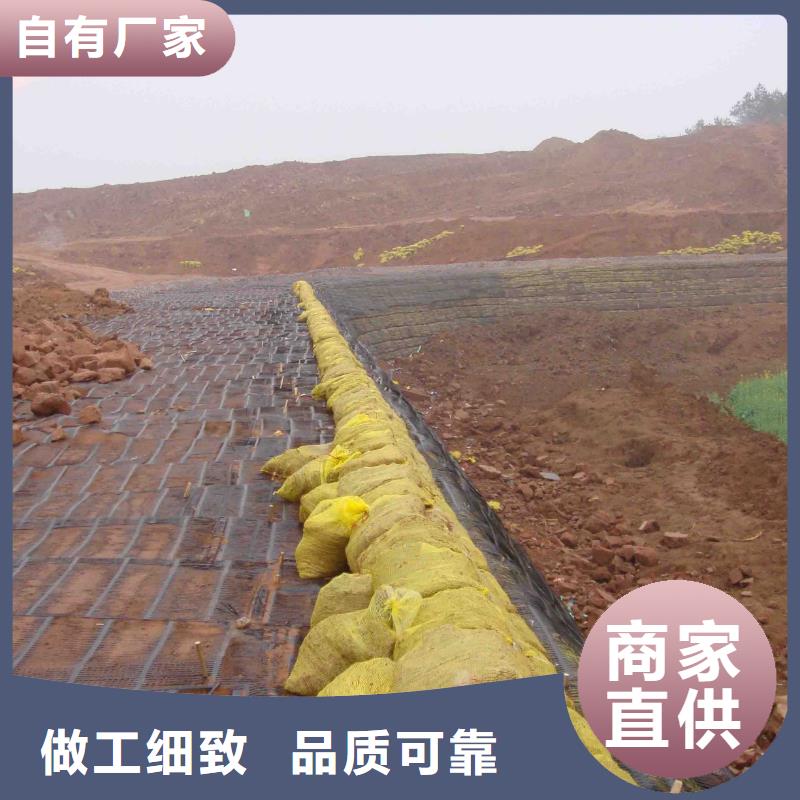 三维土工格栅货源充足电话