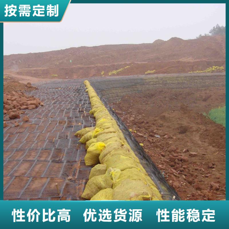 单向土工格栅实体厂家厂家