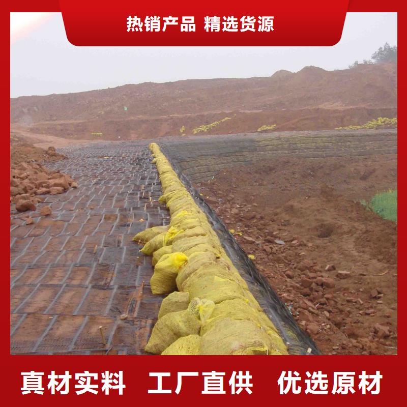 单向土工格栅生产基地电话