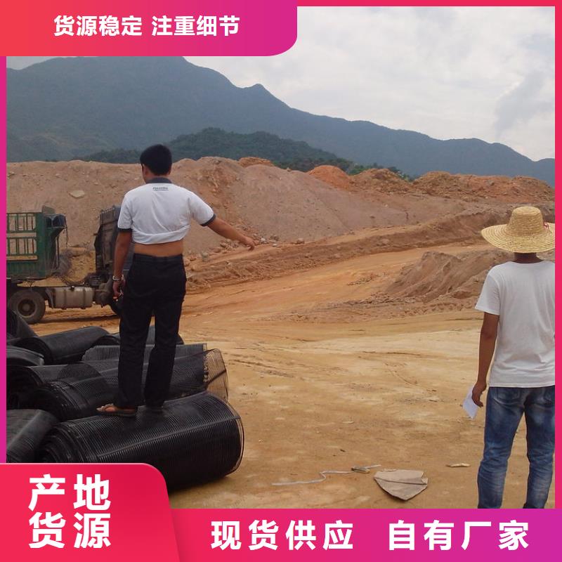钢塑土工格栅发货快厂家
