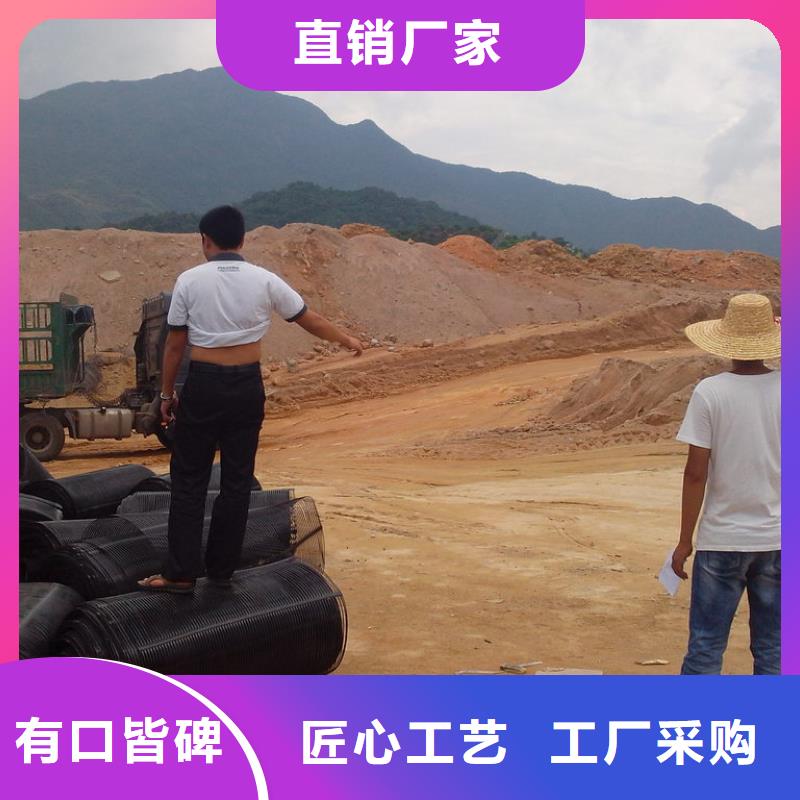临高县三维土工格栅按需定制厂家