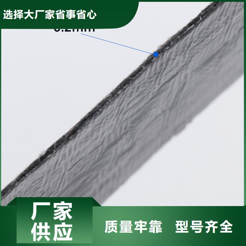 抗裂贴放心购买现货销售