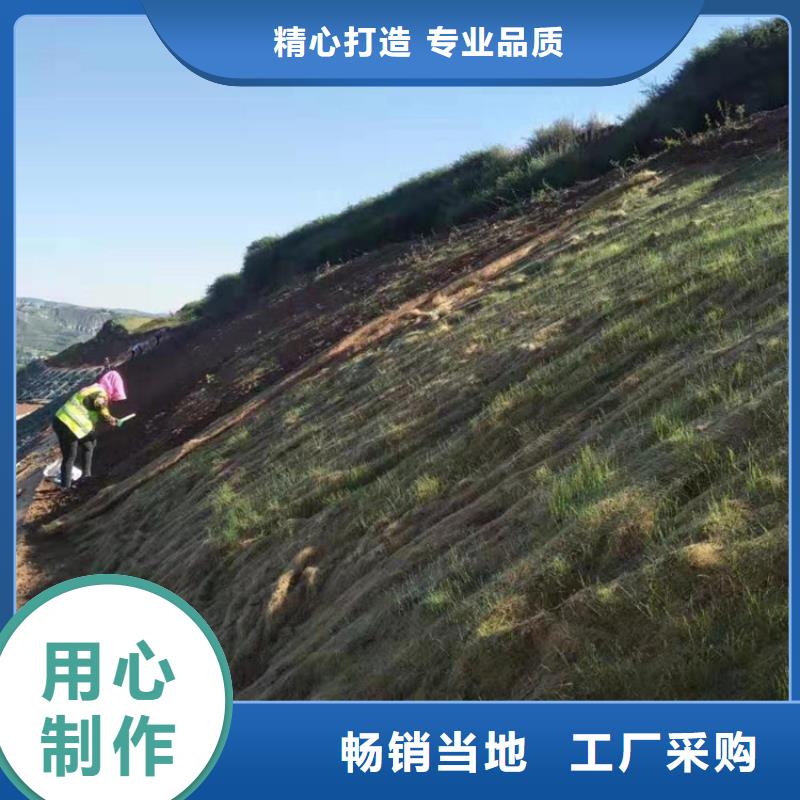 【椰丝毯】_防渗膜实力厂商