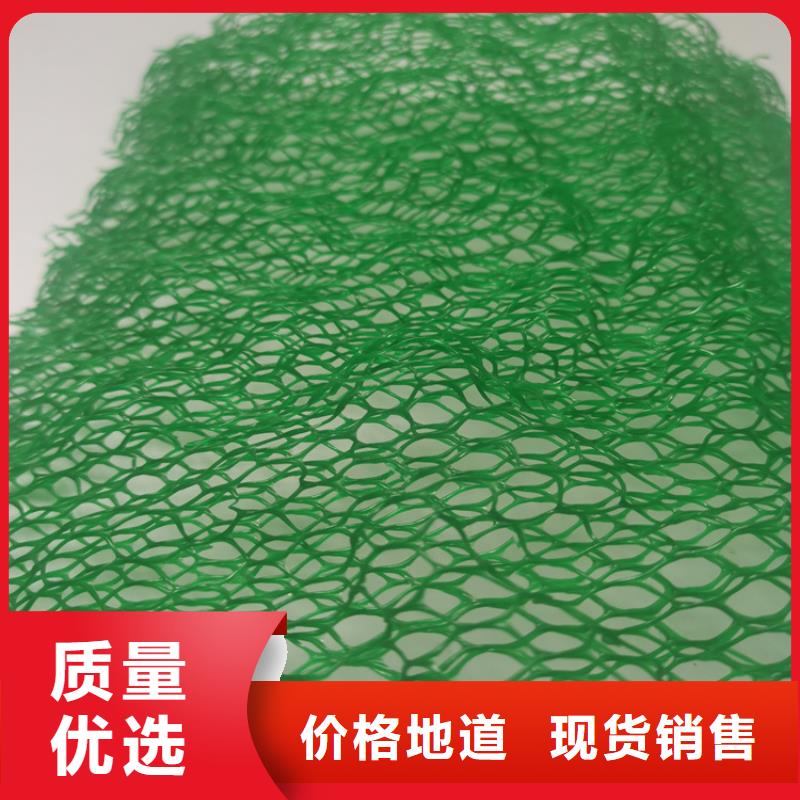三维植被网防渗膜厂家售后完善