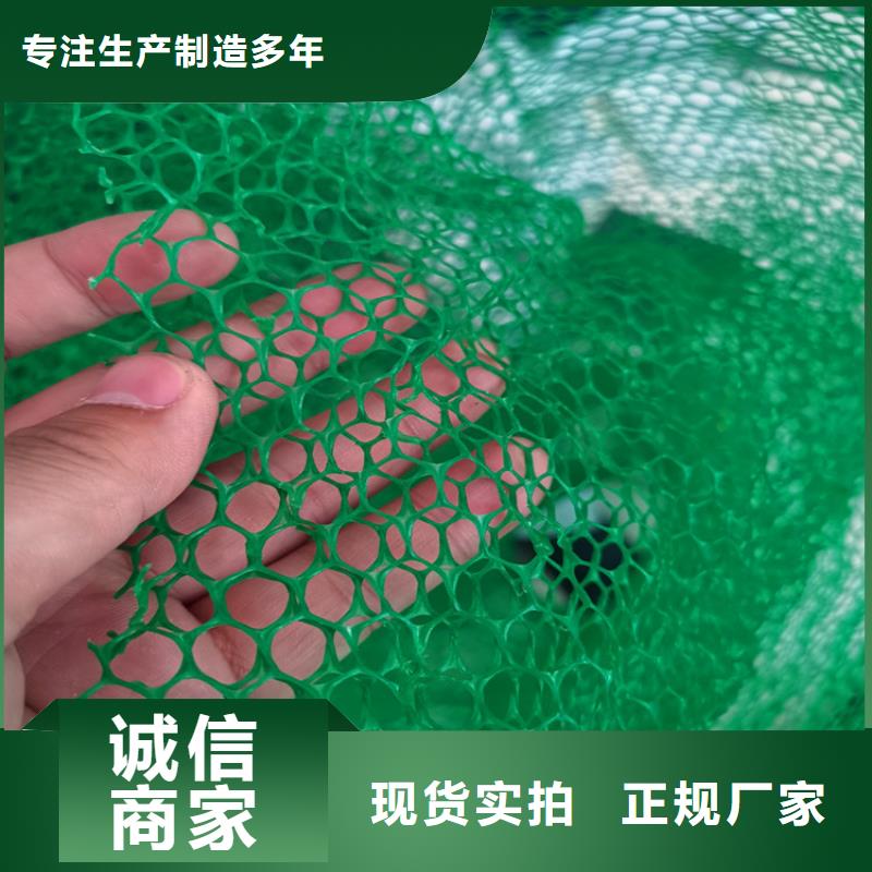 三维植被网防渗膜厂家售后完善