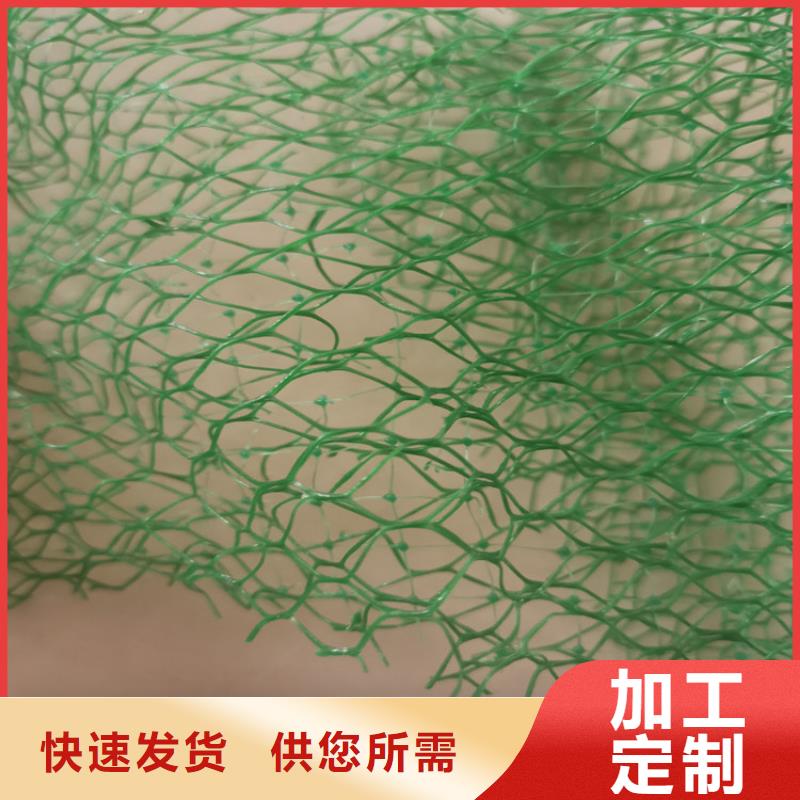 三维植被网防渗膜厂家售后完善