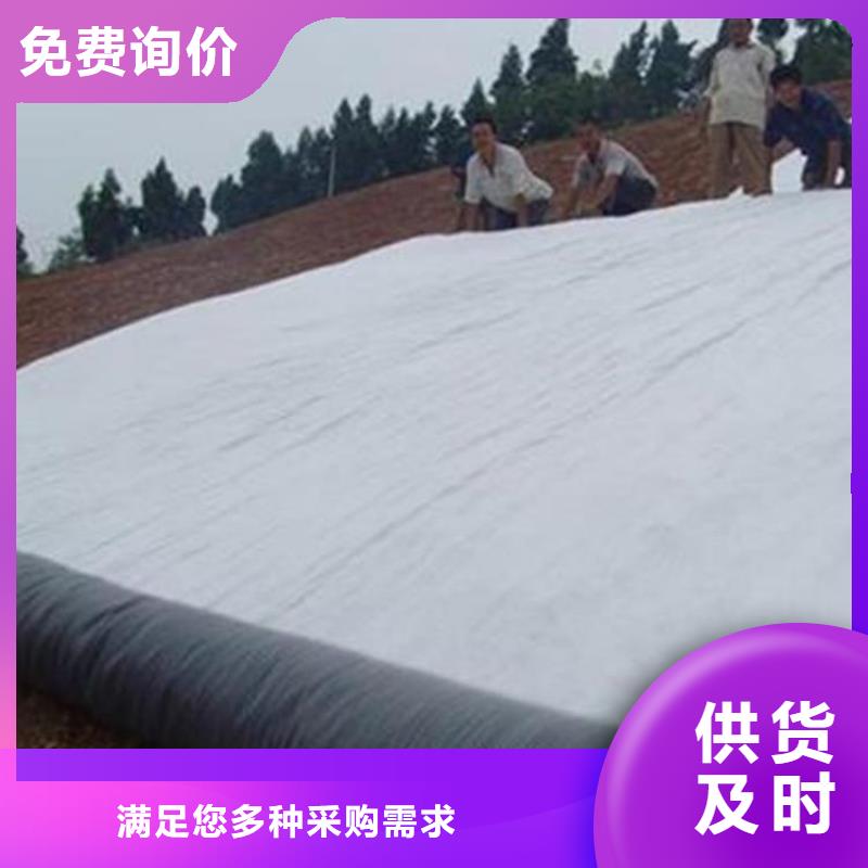 膨润土防水毯植草格多年经验值得信赖