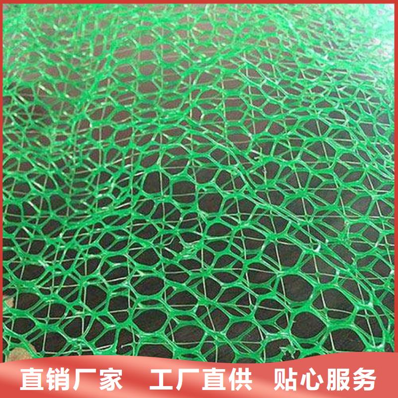 三维植被网-无纺布好品质经得住考验