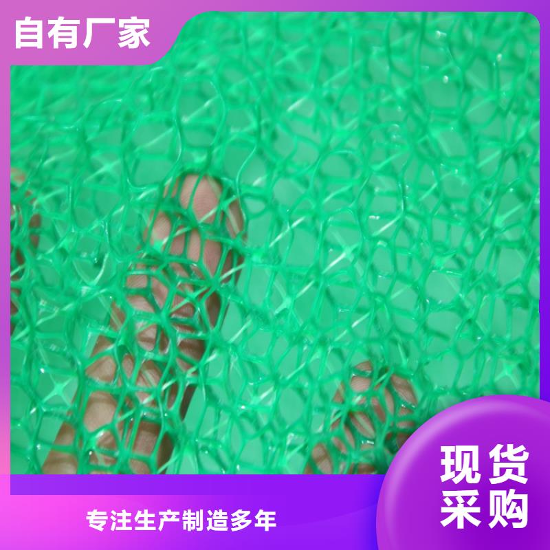 三维植被网钢塑土工格栅款式多样