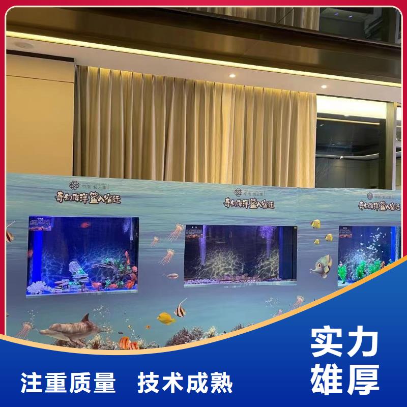 帝企鹅 优势特点