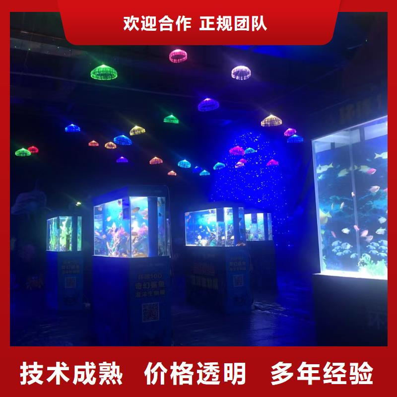 巴布亚企鹅供应商