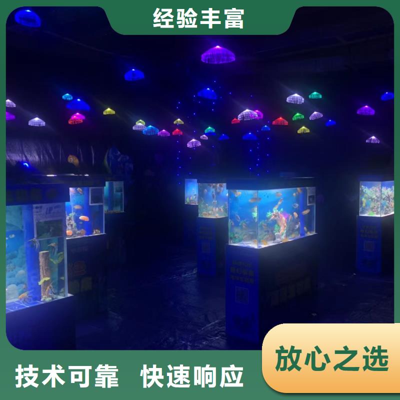 专注制造巴布亚企鹅厂家