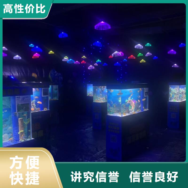 巴布亚企鹅供应商