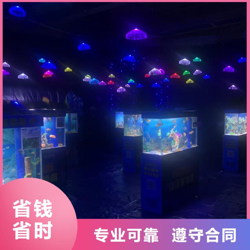 帽带企鹅、帽带企鹅厂家—薄利多销