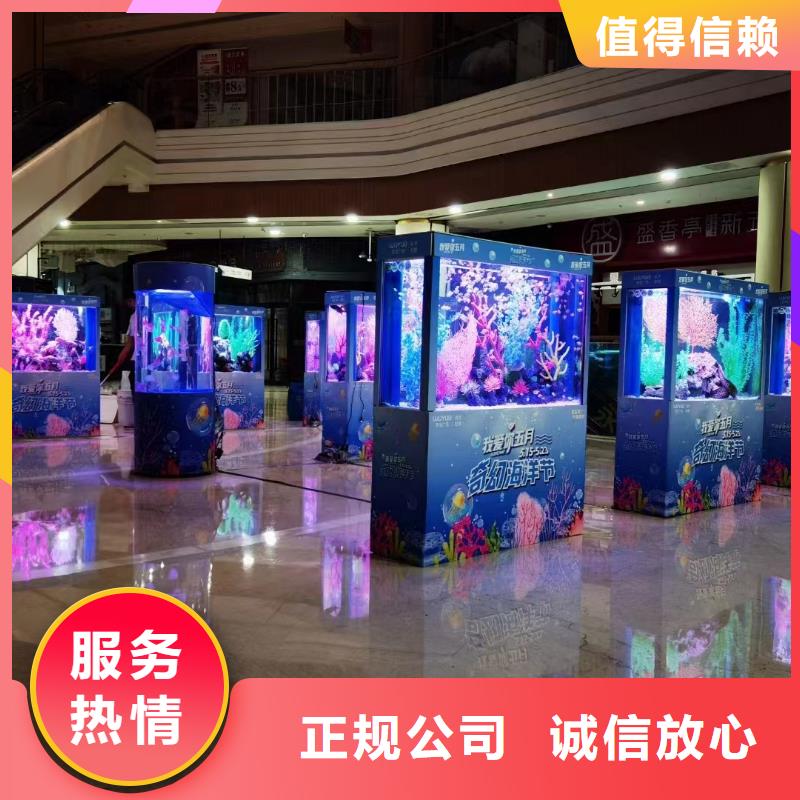 采购巴布亚企鹅必看-可信赖