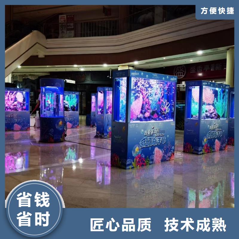 巴布亚企鹅供应商