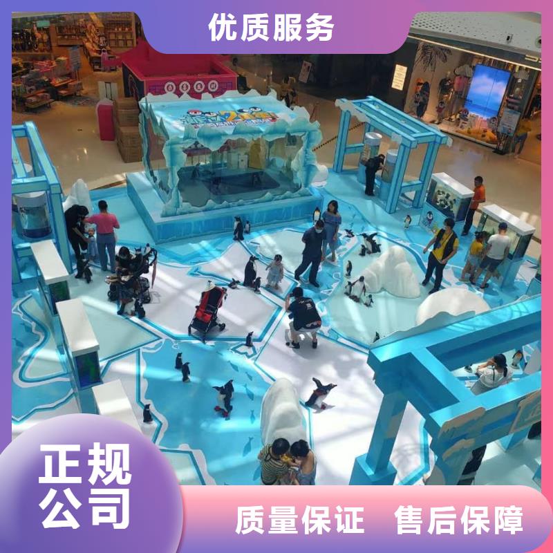 巴布亚企鹅供应商