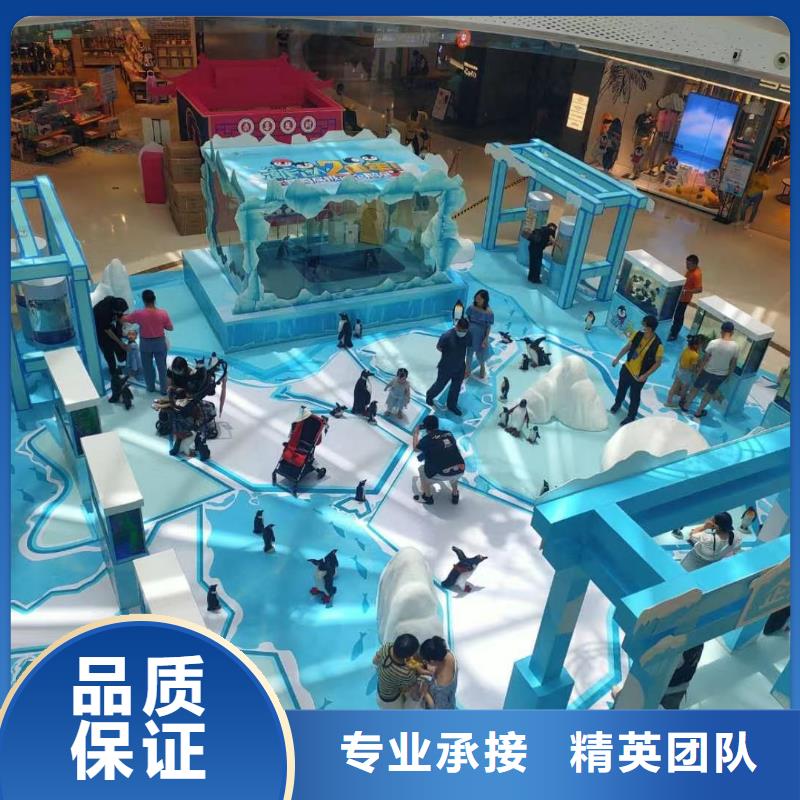 采购巴布亚企鹅必看-可信赖