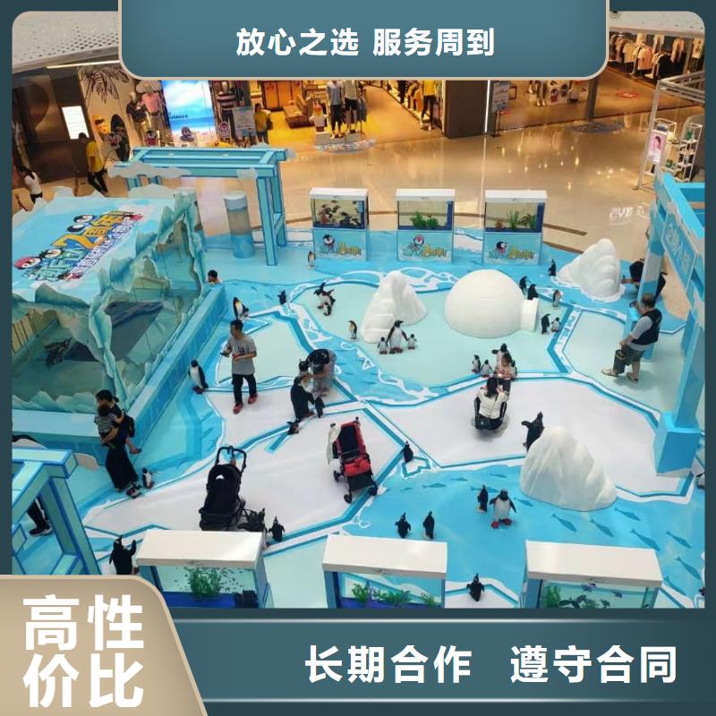 采购巴布亚企鹅必看-可信赖