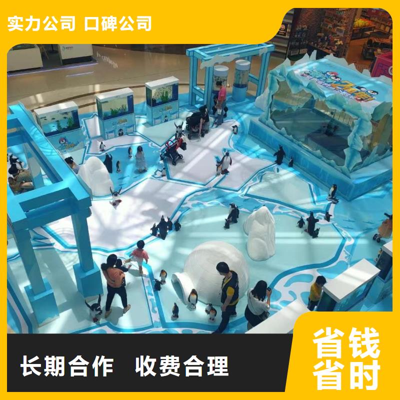 帝企鹅 优势特点