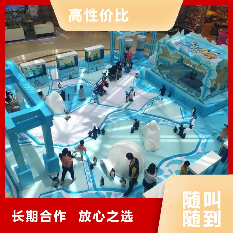 采购巴布亚企鹅必看-可信赖