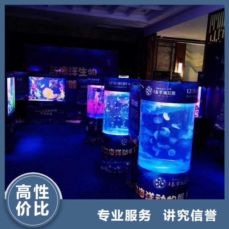 采购巴布亚企鹅必看-可信赖