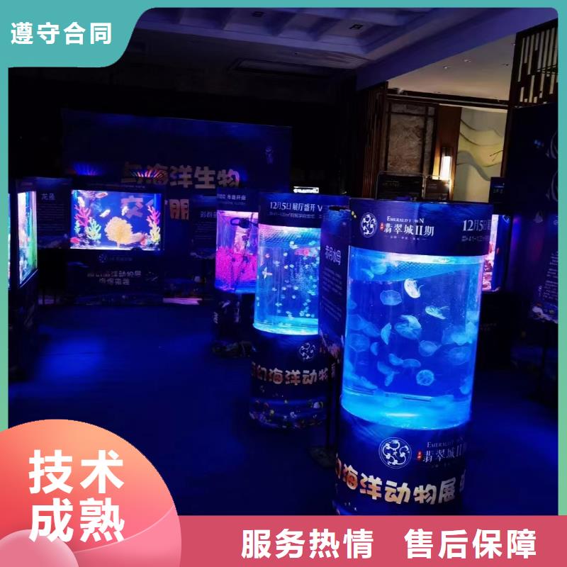 企鹅展览参数图文介绍