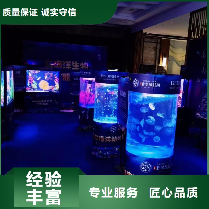 优质的巴布亚企鹅【无中间商】