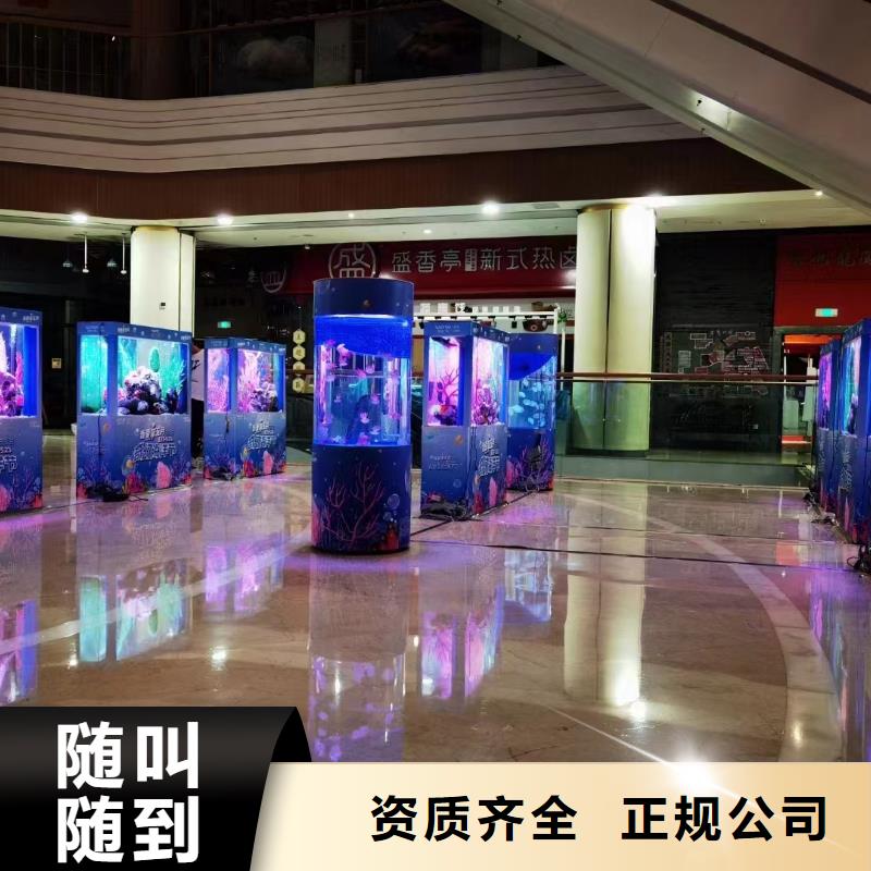 优选:帽带企鹅工厂