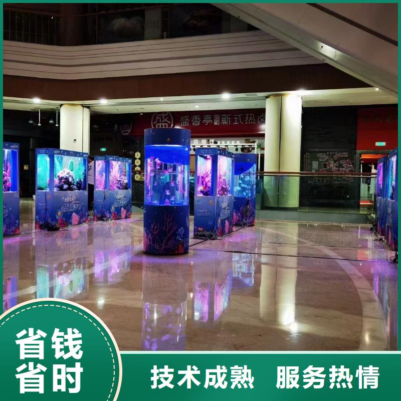 巴布亚企鹅供应商