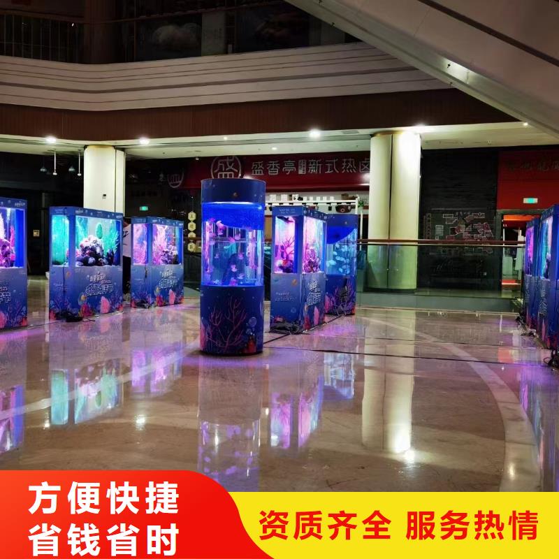 采购巴布亚企鹅必看-可信赖