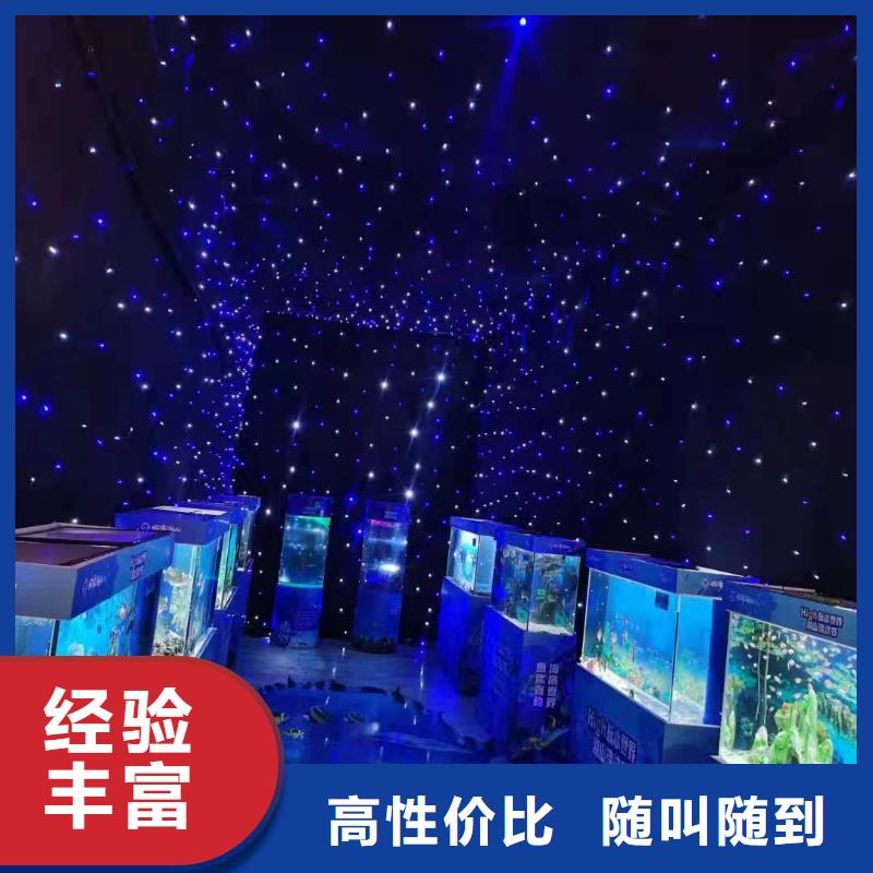 采购巴布亚企鹅必看-可信赖