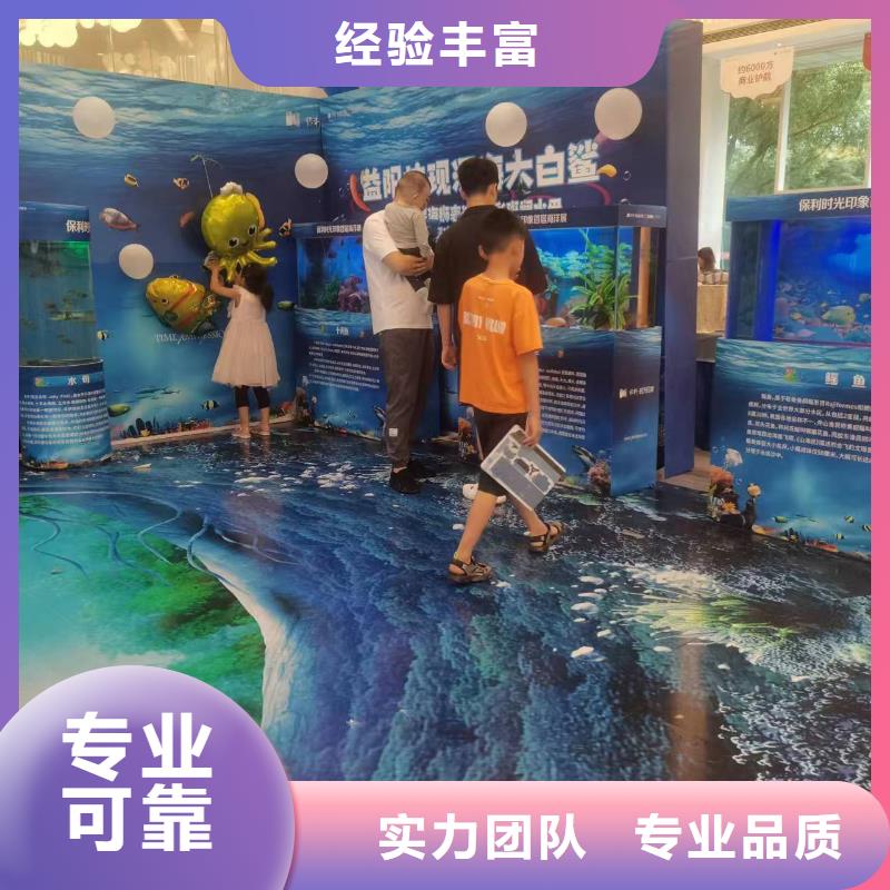 采购巴布亚企鹅必看-可信赖