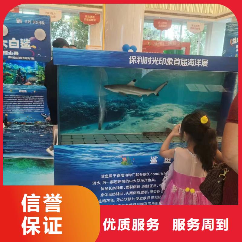 规格全的企鹅出租品牌厂家