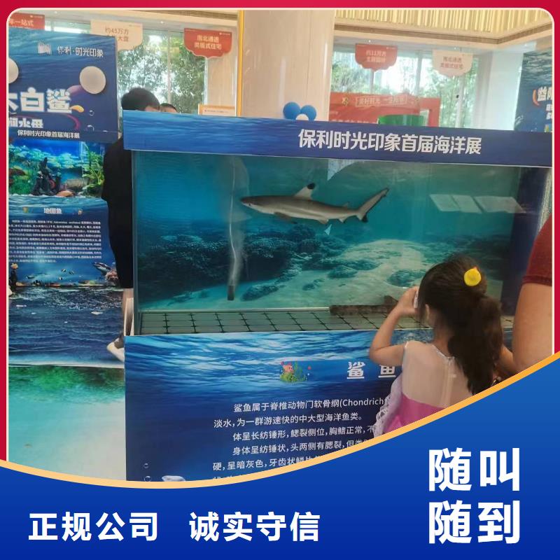 生产帽带企鹅质量可靠的厂家