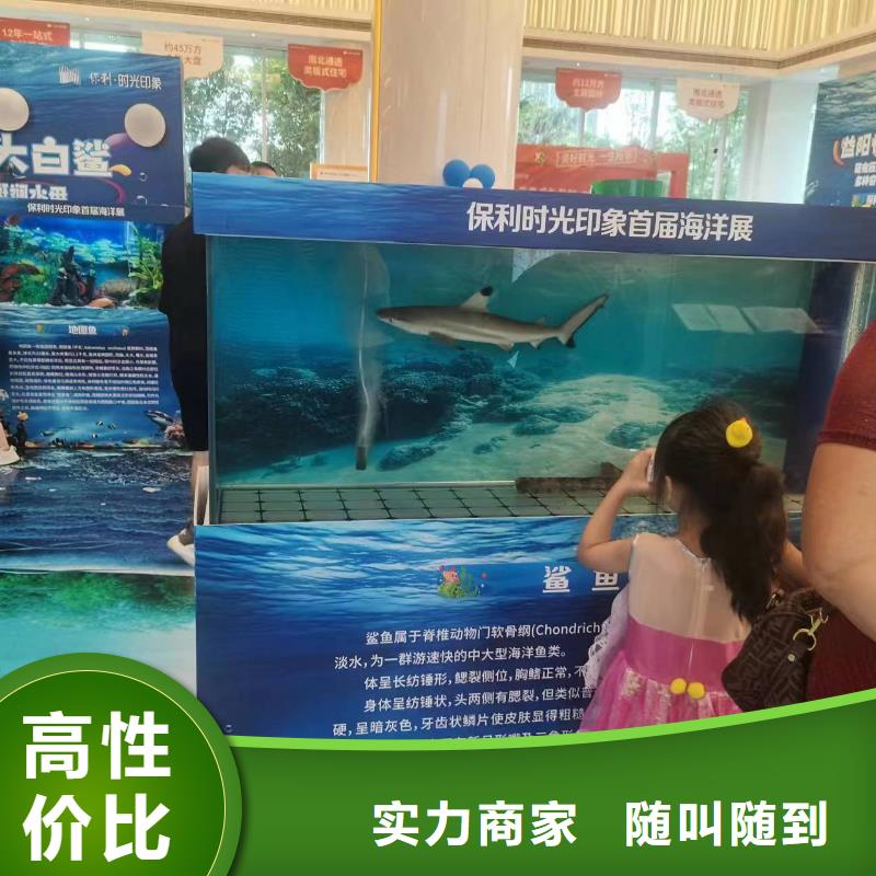 采购巴布亚企鹅必看-可信赖