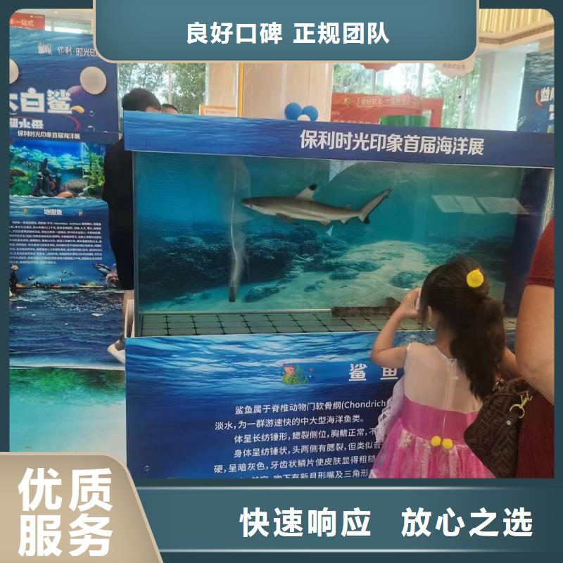 巴布亚企鹅供应商