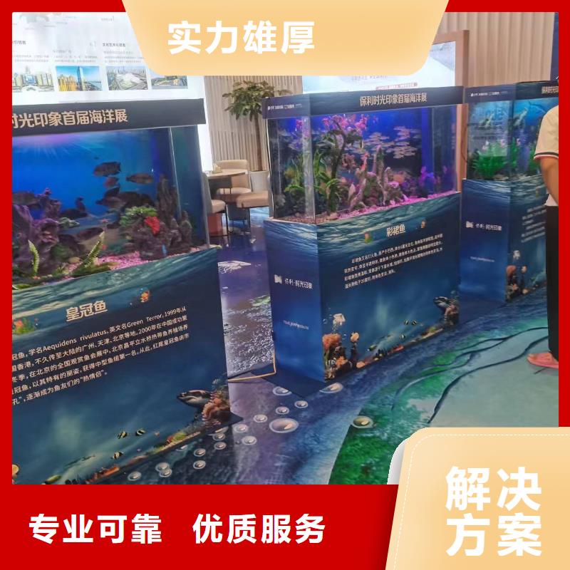 规格全的企鹅出租品牌厂家