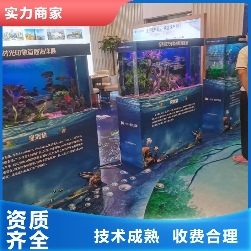 企鹅展览实业厂家