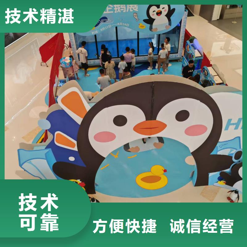 企鹅展览让利促销