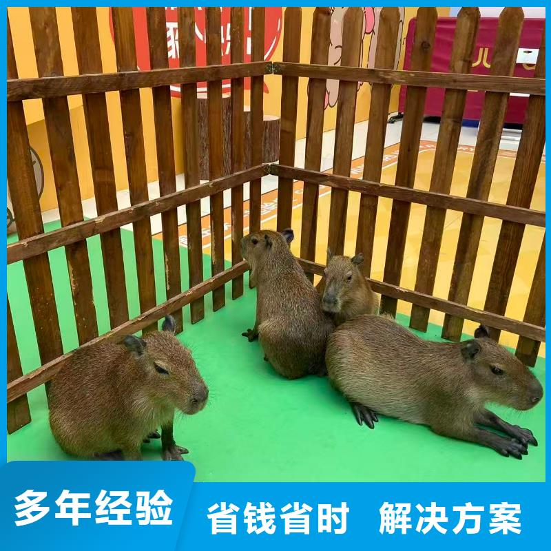 养殖基地-放心采购