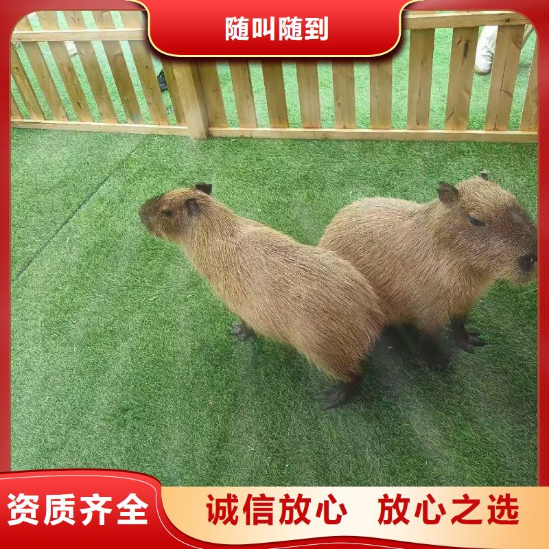 泳池 优质生产厂家