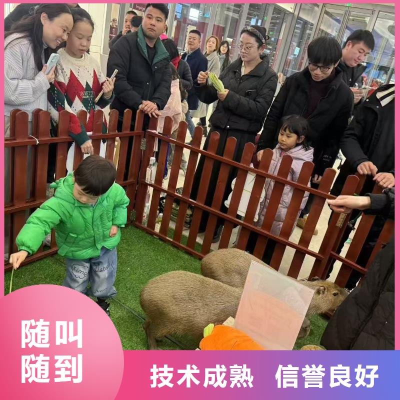 商场暖场经久耐用